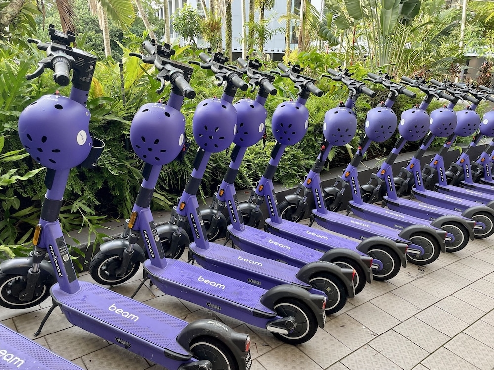 スクーター / モペット