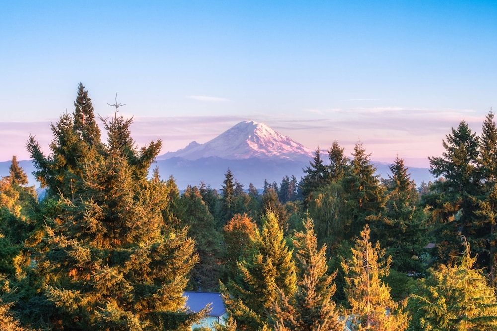 部屋からの景観