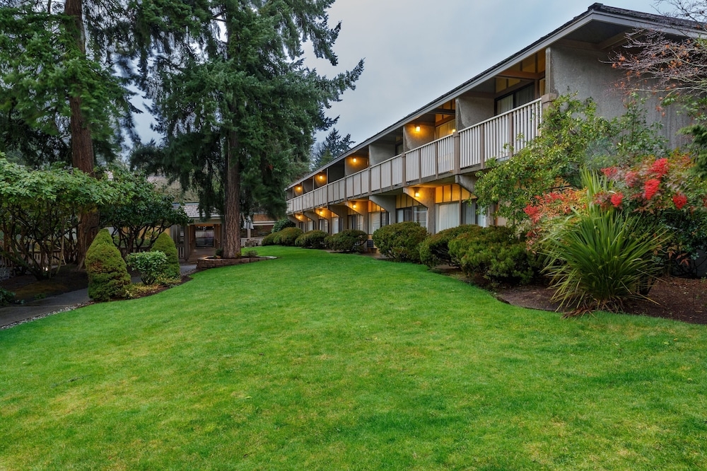 バーベキュー / ピクニック エリア