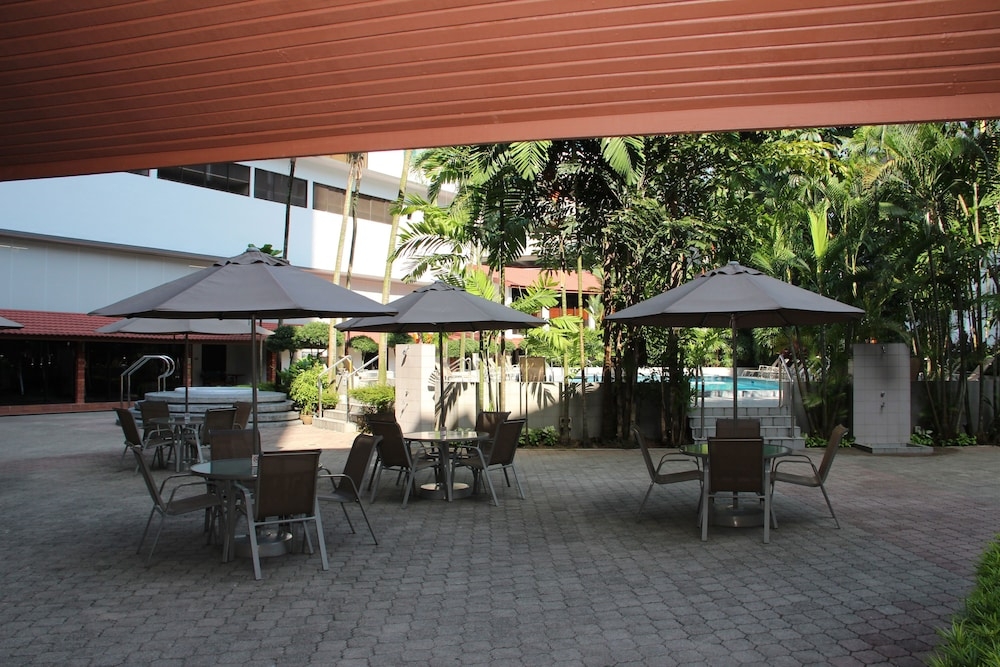 テラス / パティオ