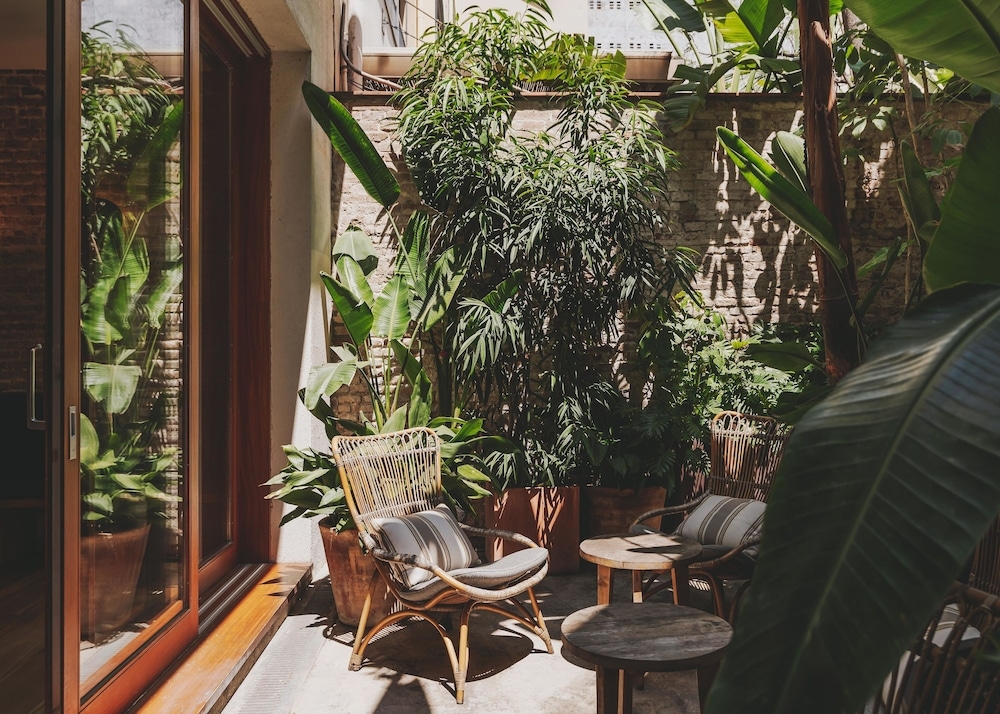 テラス / パティオ