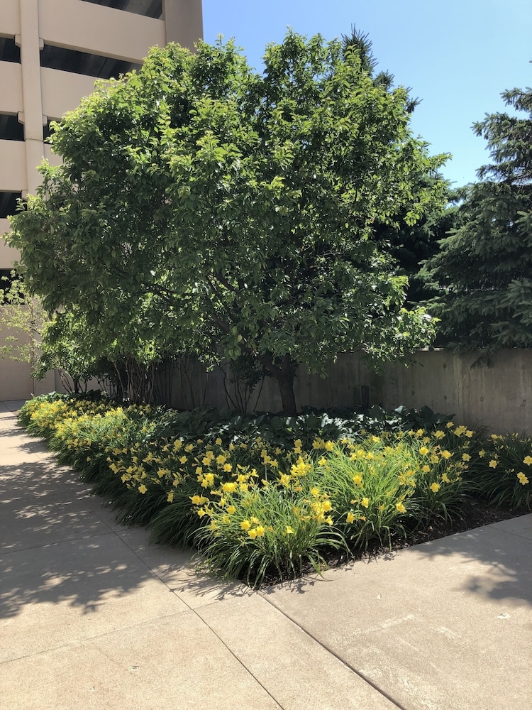 バーベキュー / ピクニック エリア