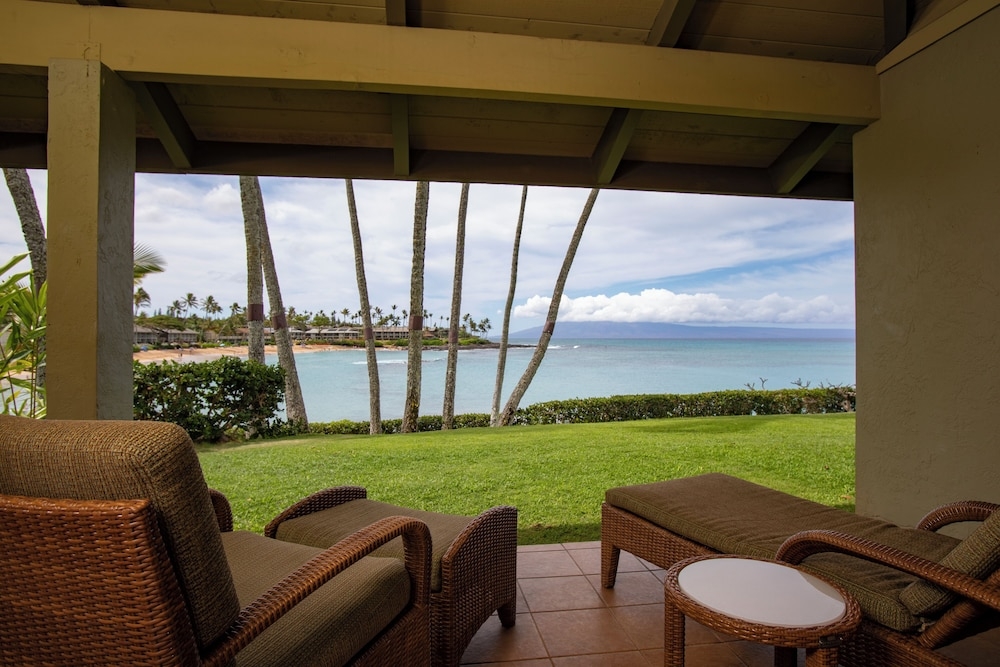 テラス / パティオ