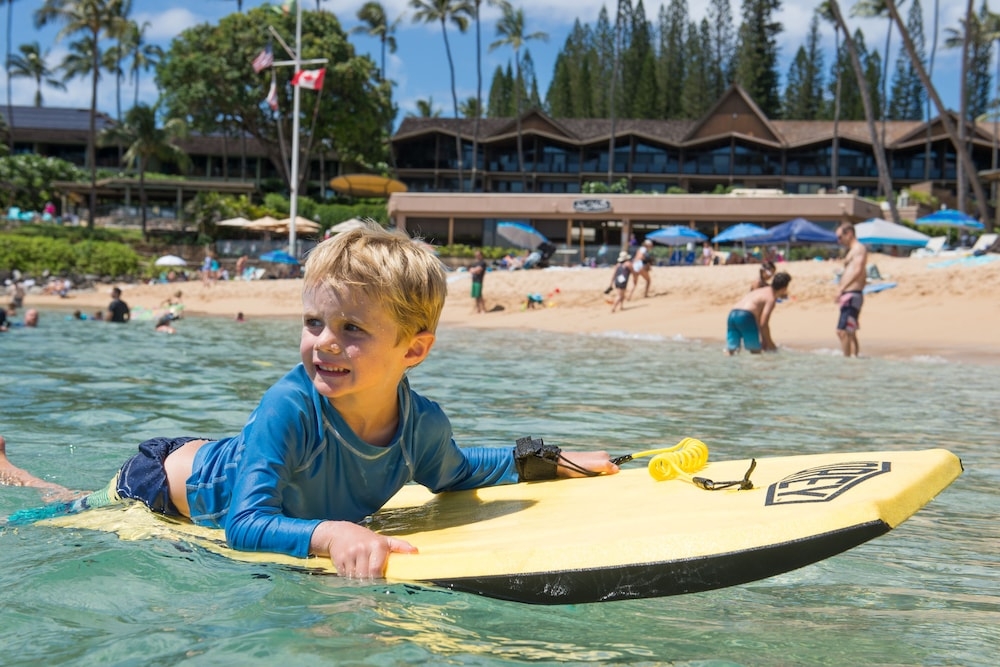 サーフィン / ボディボード