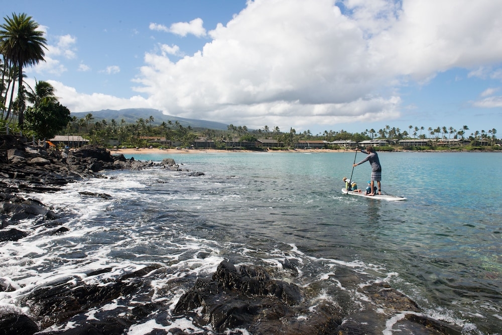 サーフィン / ボディボード