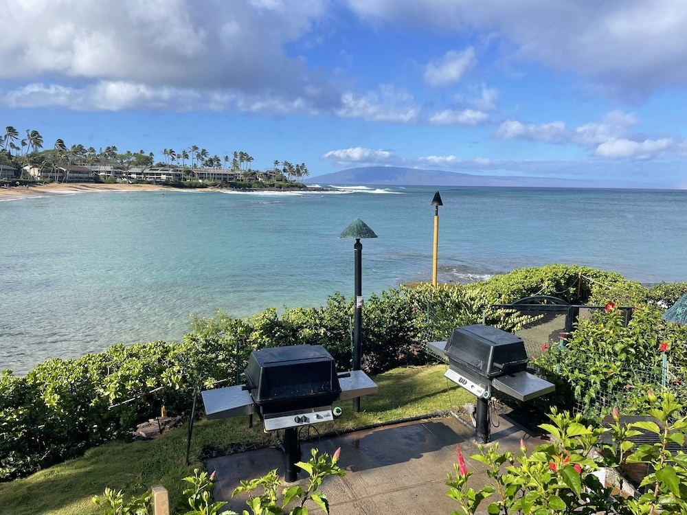 バーベキュー / ピクニック エリア