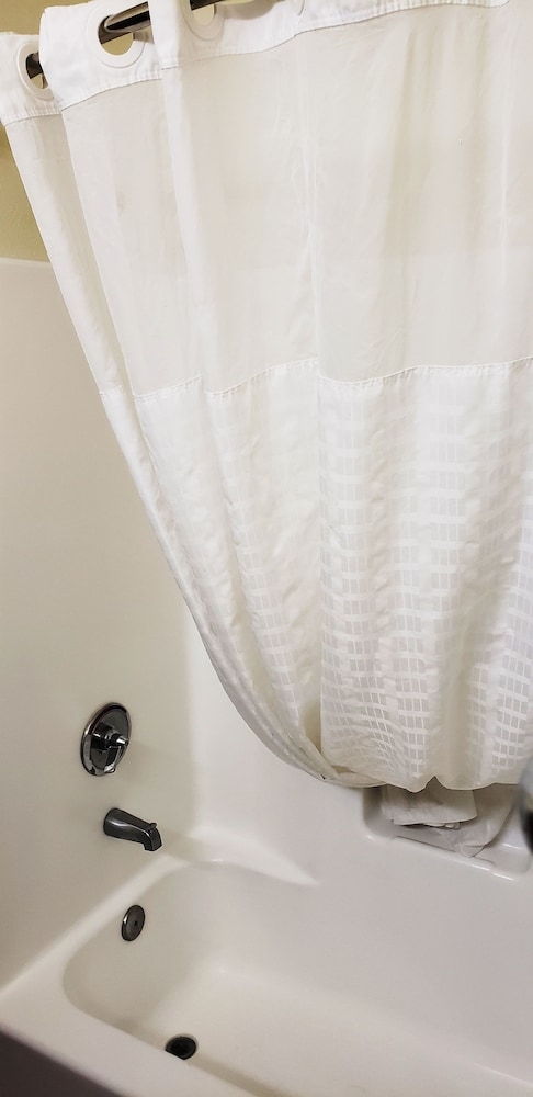 バスルームの設備