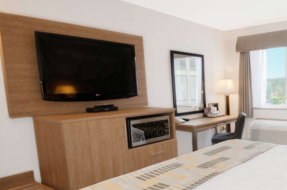 客室の設備とサービス