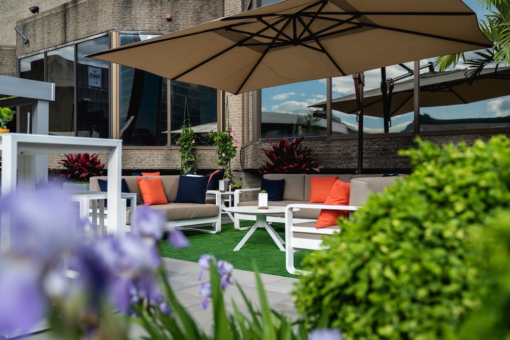 テラス / パティオ