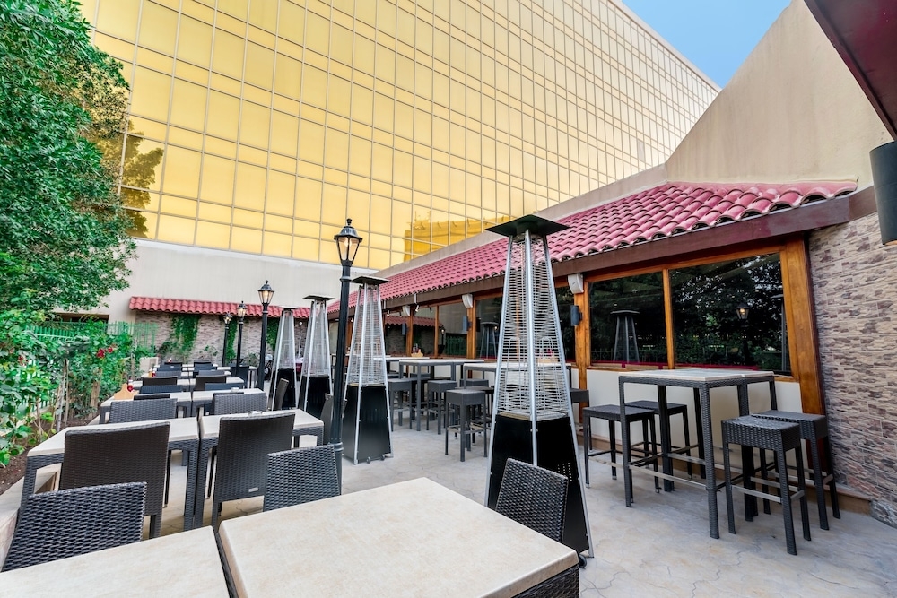 テラス / パティオ