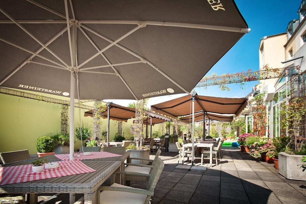 テラス / パティオ