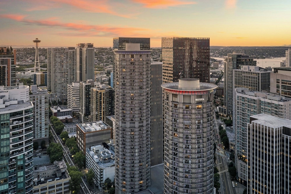 施設からの眺望