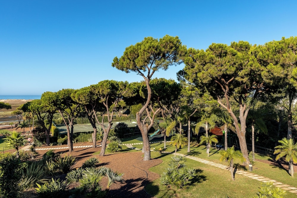 子供用の遊び場 - 屋外