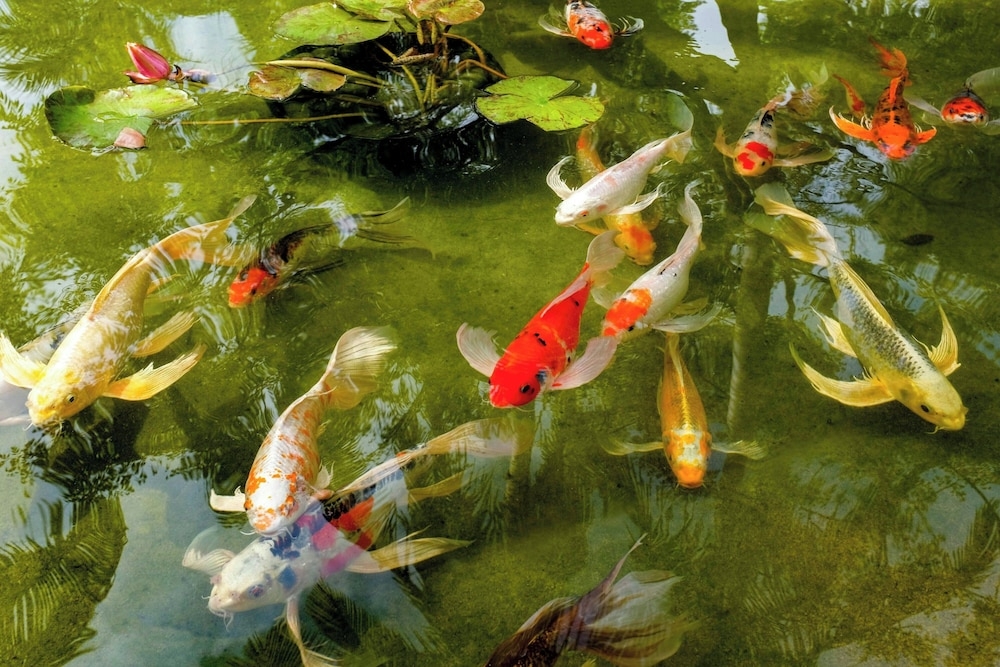 施設からの眺望