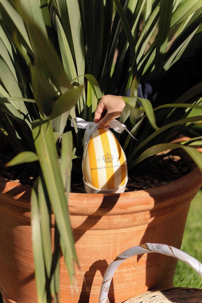 子供向けアクティビティ