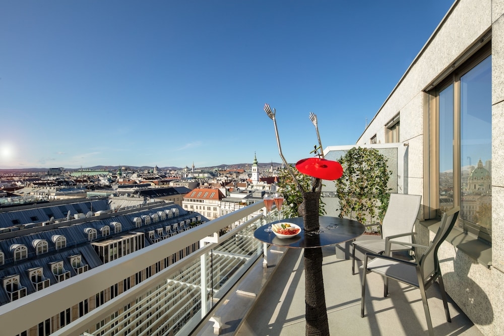 テラス / パティオ