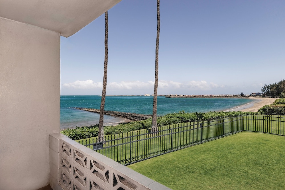 部屋からの景観