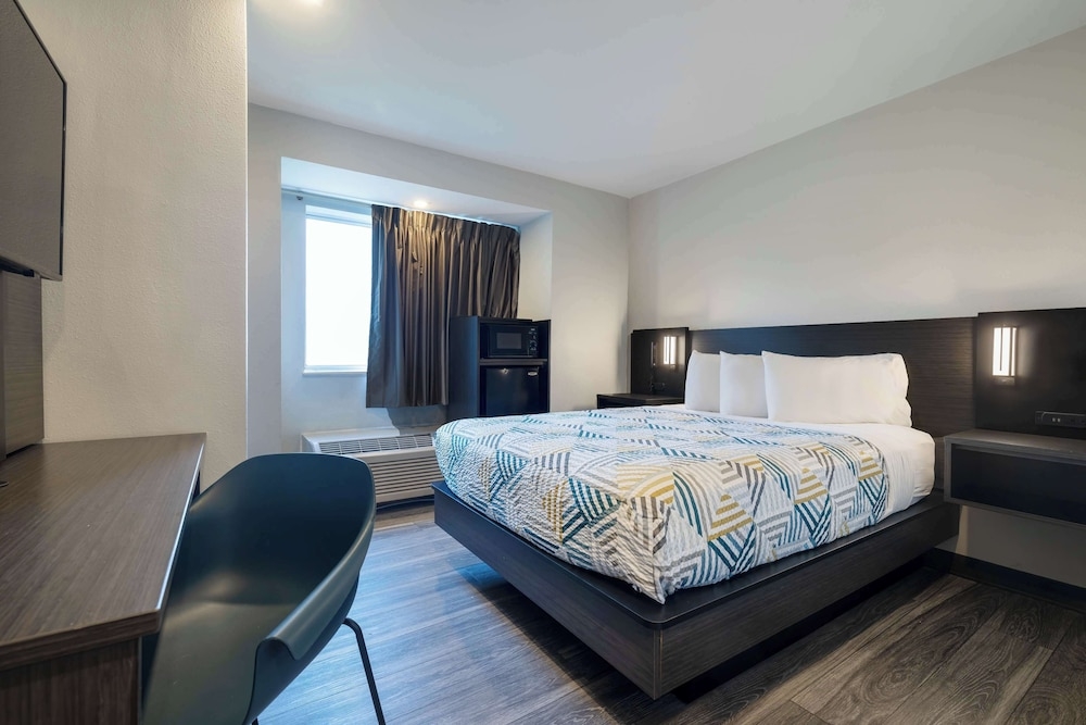 客室の設備とサービス