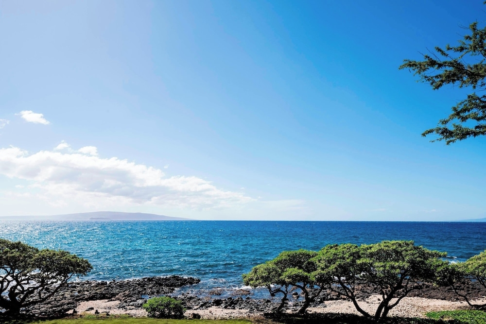 部屋からの景観
