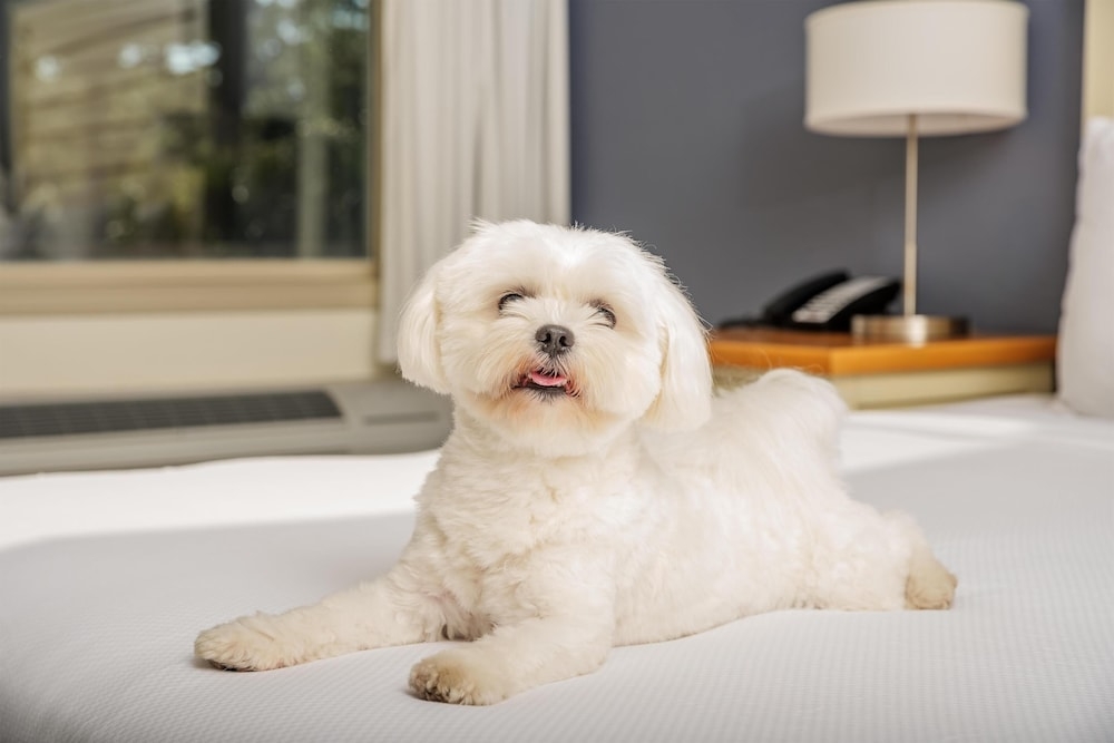 客室の設備とサービス