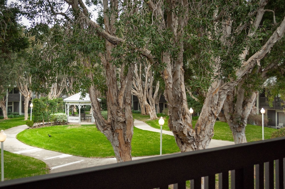 部屋からの景観