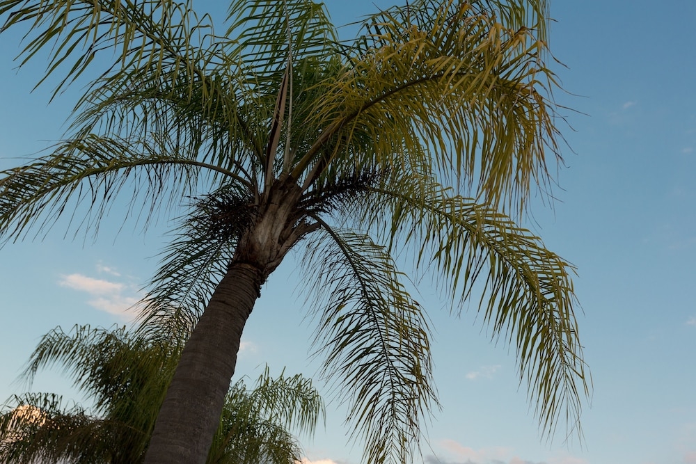 部屋からの景観