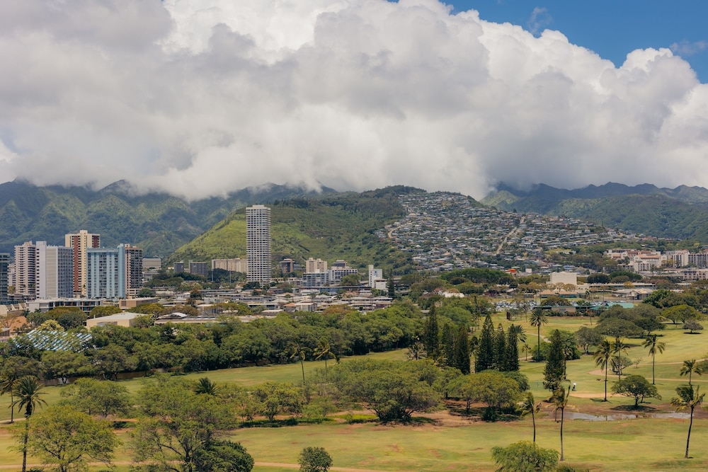 施設からの眺望