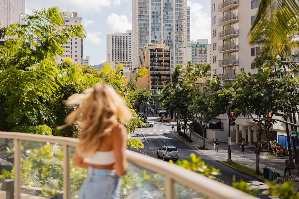 テラス / パティオ