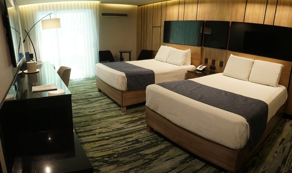 部屋からの景観