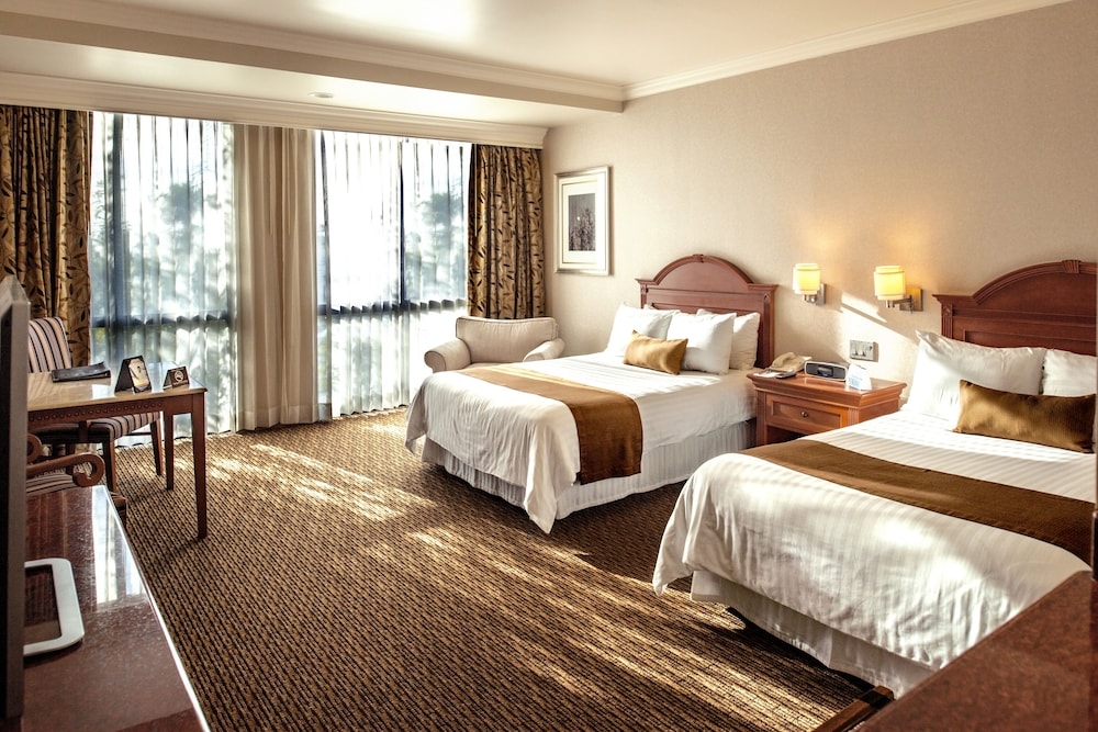 部屋からの景観