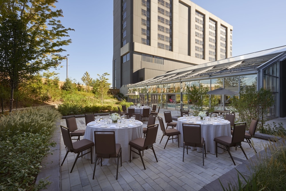 テラス / パティオ