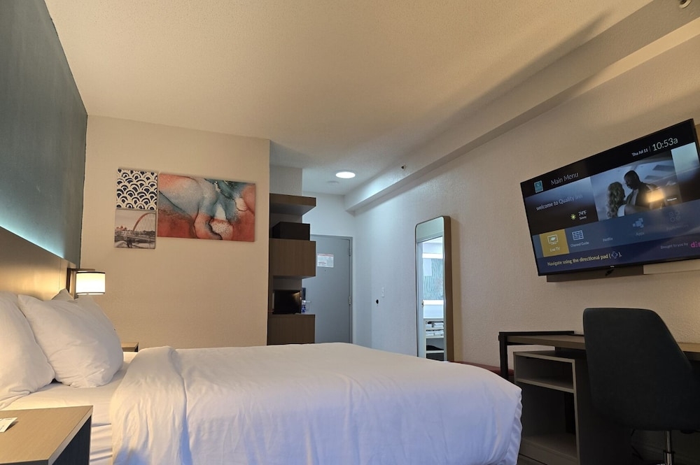 客室の設備とサービス