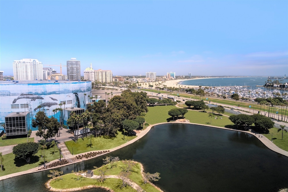 ビーチ / オーシャン ビュー