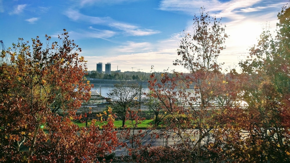 部屋からの景観