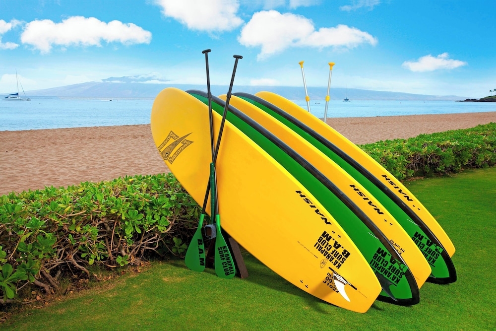 サーフィン / ボディボード