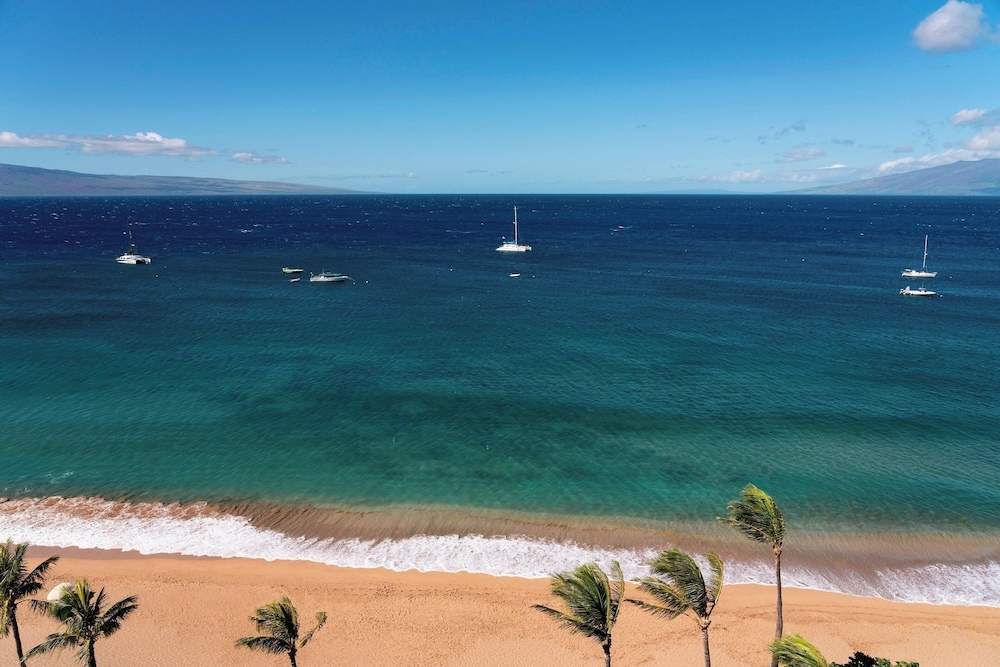 部屋からの景観