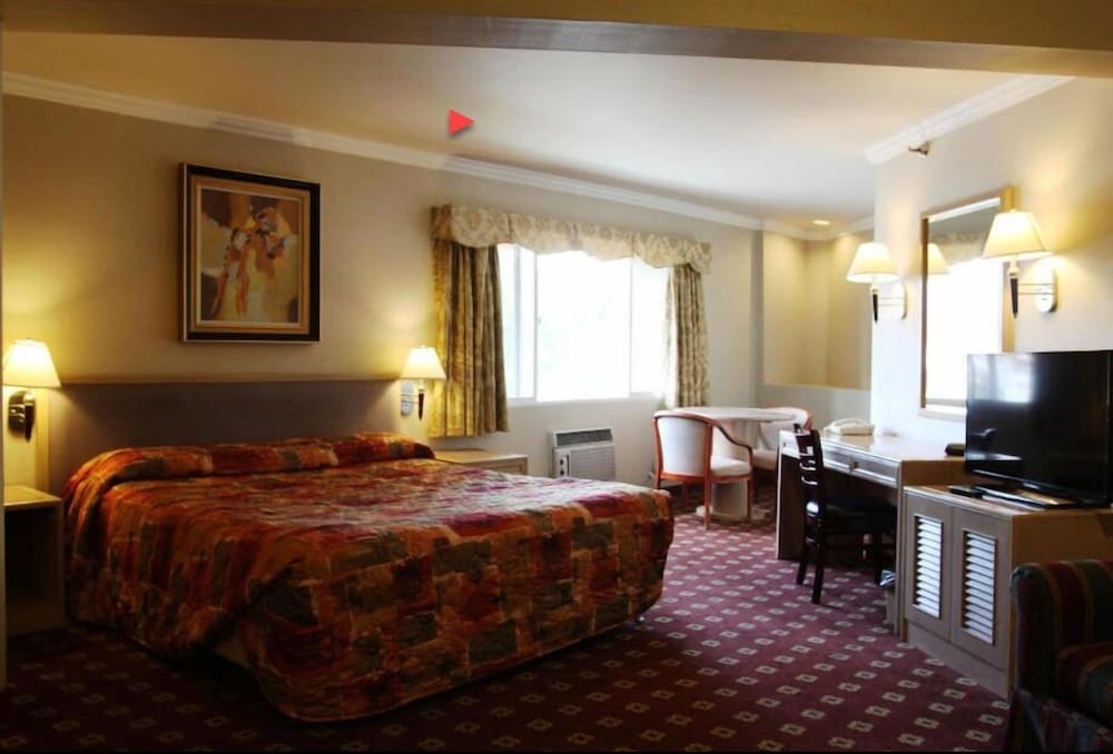 メイン イメージ