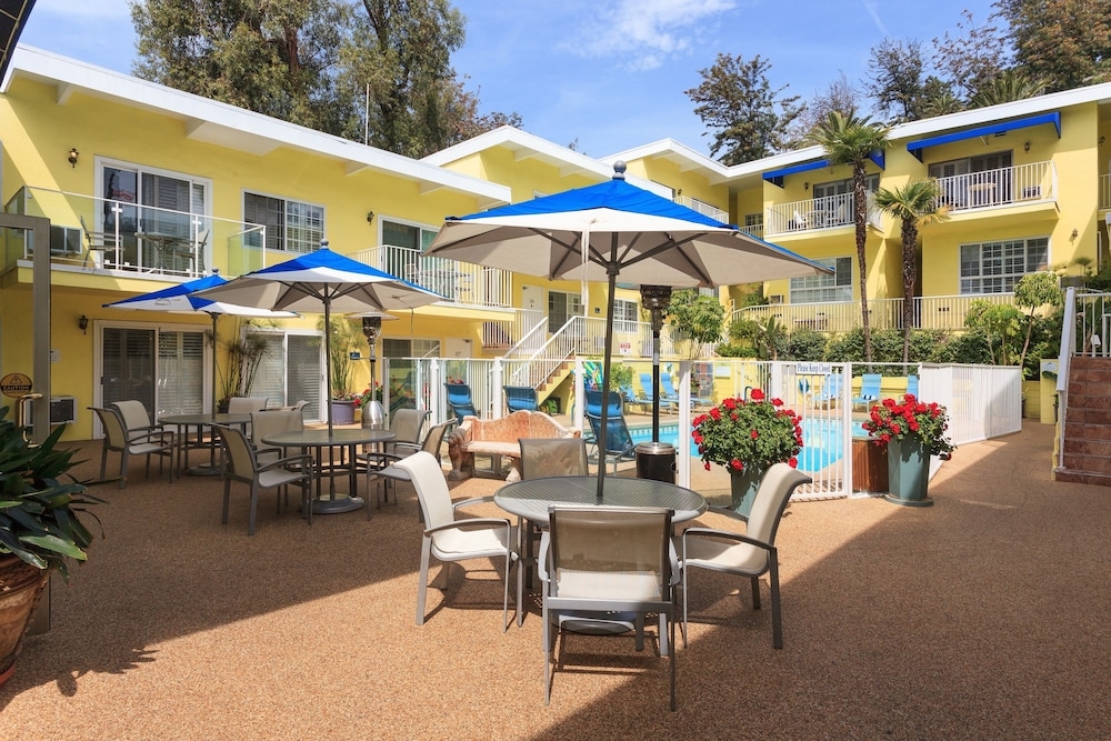 メイン イメージ