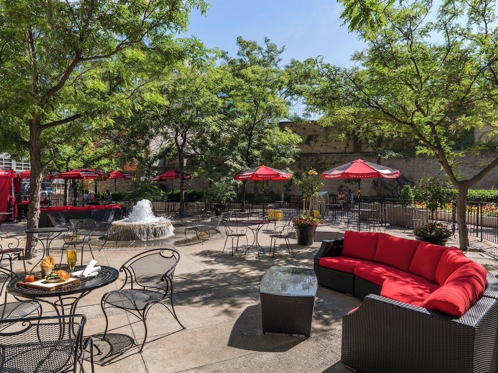 テラス / パティオ