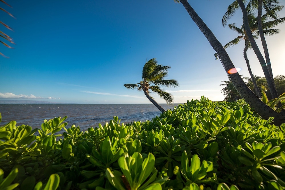 施設からの眺望