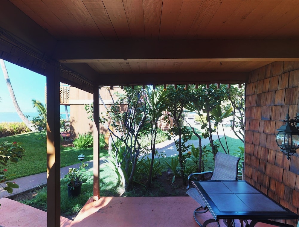 テラス / パティオ