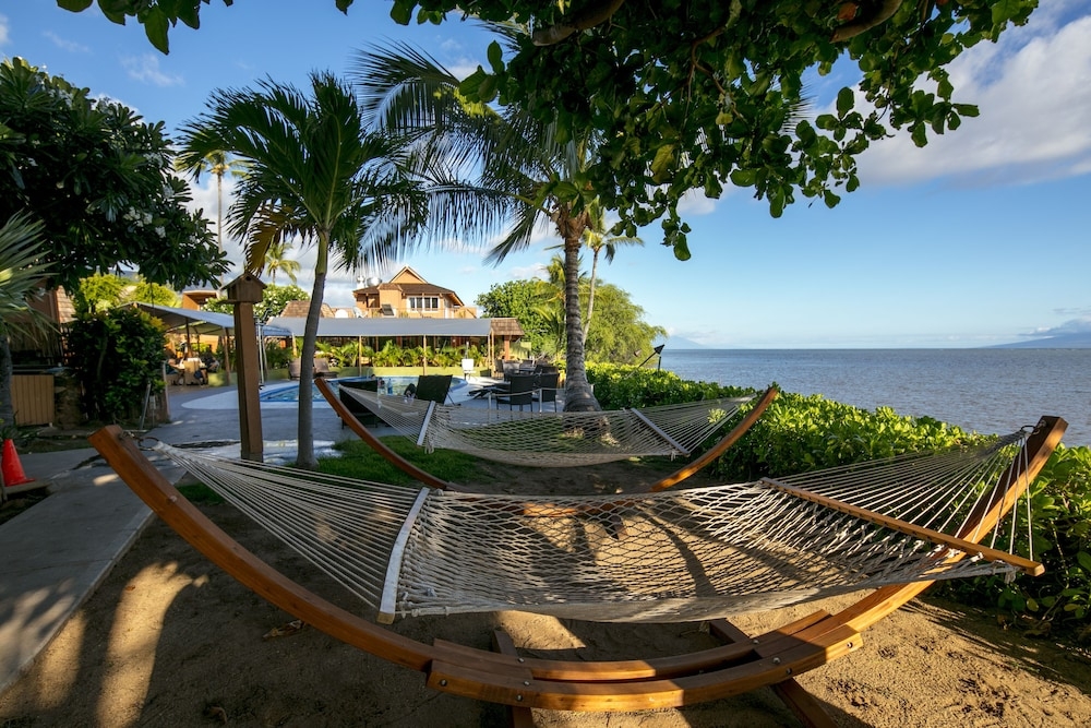 プールサイドバー