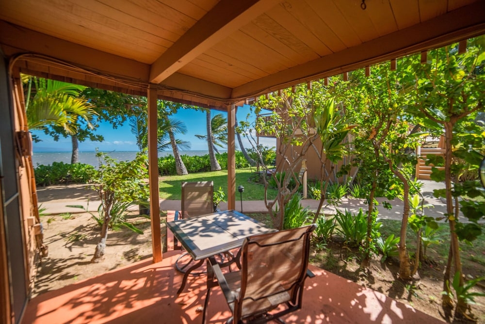 テラス / パティオ