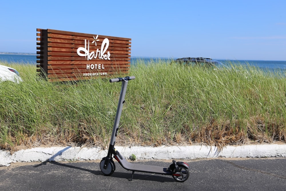 スクーター / モペット