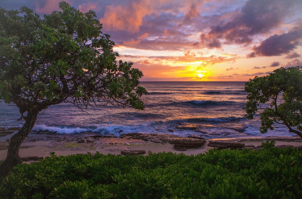 施設からの眺望