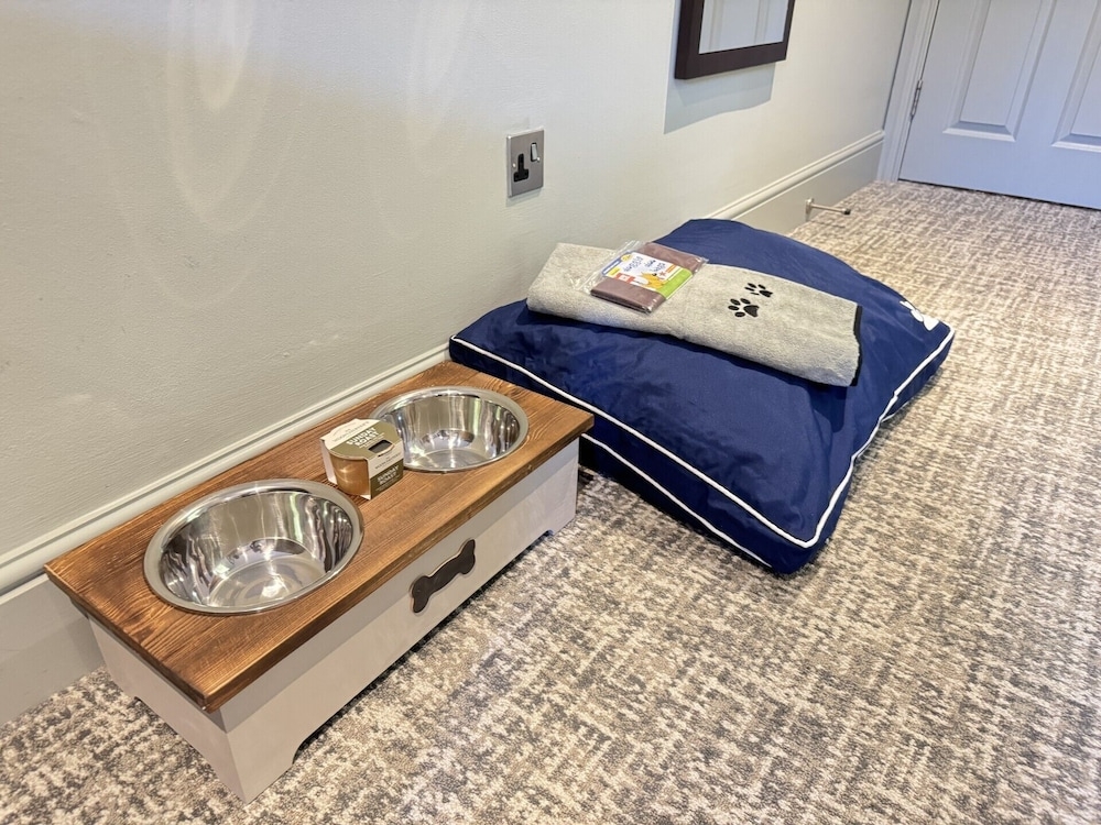 ペット用設備・サービス