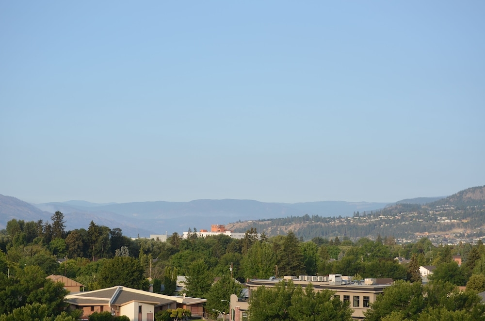 マウンテン ビュー