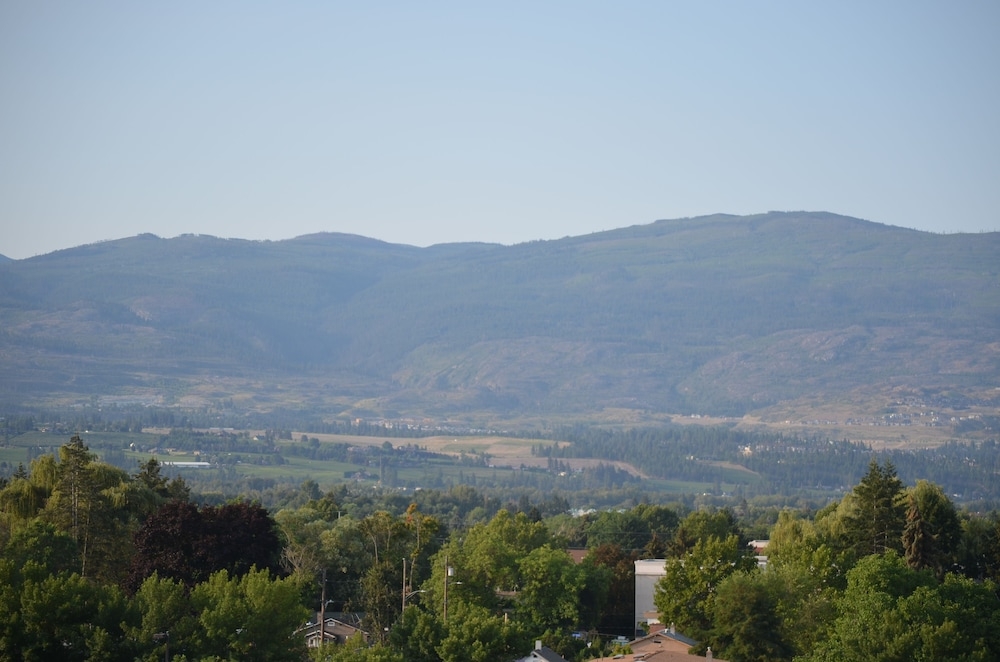 マウンテン ビュー