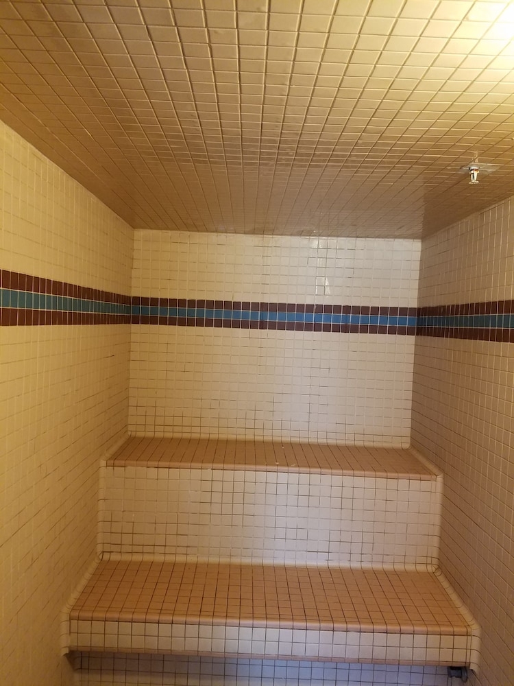 スチームサウナ