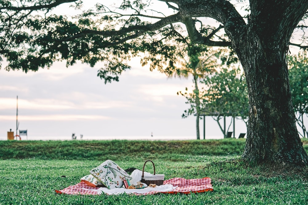 バーベキュー / ピクニック エリア